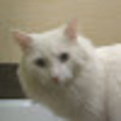 Саша Старкин