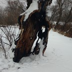 Ольга Миминошвили