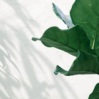 Просто Катя