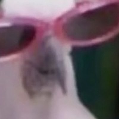 Алина Чехова