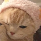 Дмитрий Статный