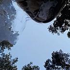 Надежда Колпакова