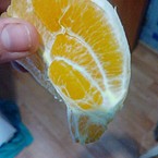 Ирина Шемановская