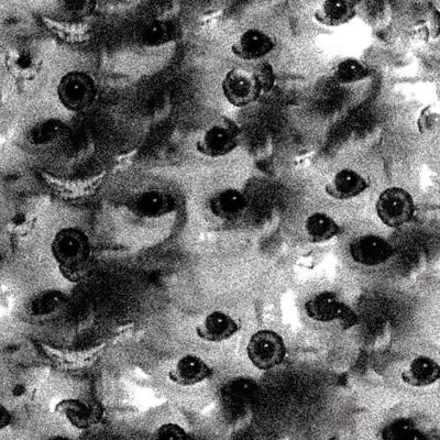 над пропастью во ржи