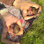 Владимир Пшеничников