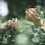 Катерина Киви