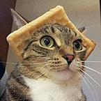 не рыба, не мясо, НЕ ЧЕЛОВЕК