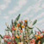 Евдокия Калашникова