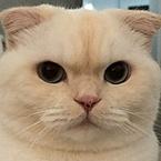 Валерия Техник