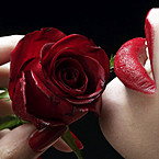 Наташа Васильева