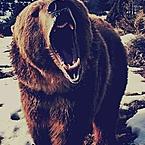 Павел Белозёров