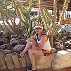 Елена Русанова