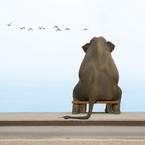 Вера Праздничных