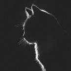 Ольга Дегтярева