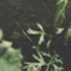 Юлия Стрелкова