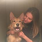 Вита Карниз