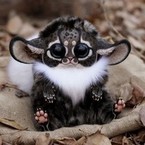 Валерия Калина