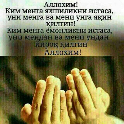 Дилрабохон Мухамедова