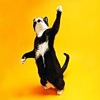 Михаил Сенин