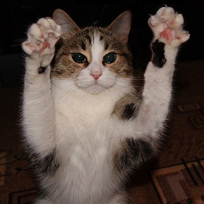 Марина Бойкова