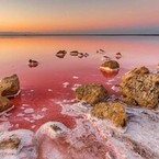 Олеся Верейкина