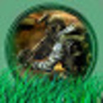 ТруТасчер RuCF