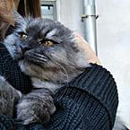 Александра Морозова