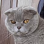 Даша Брусиловская