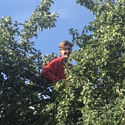 Валерий Мишуринский