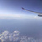 Тимофей Моисеев