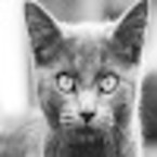 АндРей Бебенин