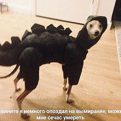 Екатерина Зверева