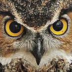 Sergey Krasnobabtsev