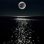 Залина Джумагельдиева