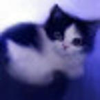 Анастасия Кононова