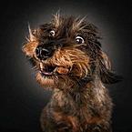 Алексей Алексеев