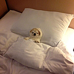 Лера🧸🔗🖤