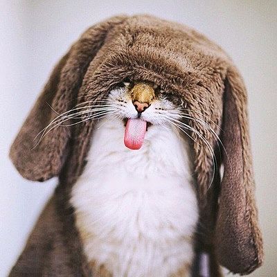 Ольга Харитонова