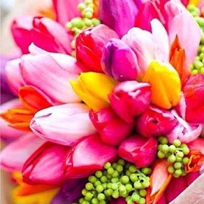 Екатерина Комарова