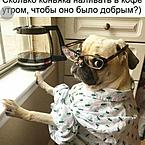 Лариса Придворова