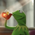 Настя Безвербная