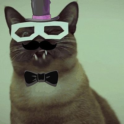 Тимофей Кот