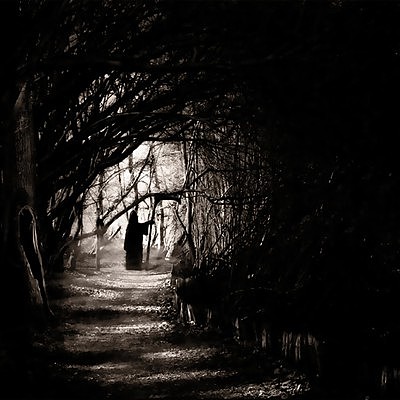 Алекс Белов