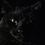 Мерген Сарбалаев