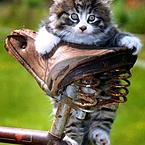 Рая Джанакаева