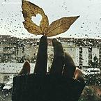 Ангелина Павловская