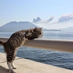 Нина Малькова