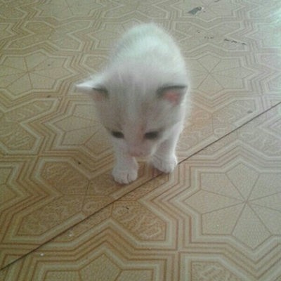 Вова Андреев