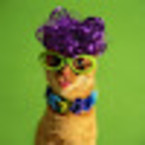 Артем Крейк