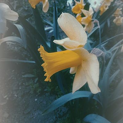 Мария Базанова